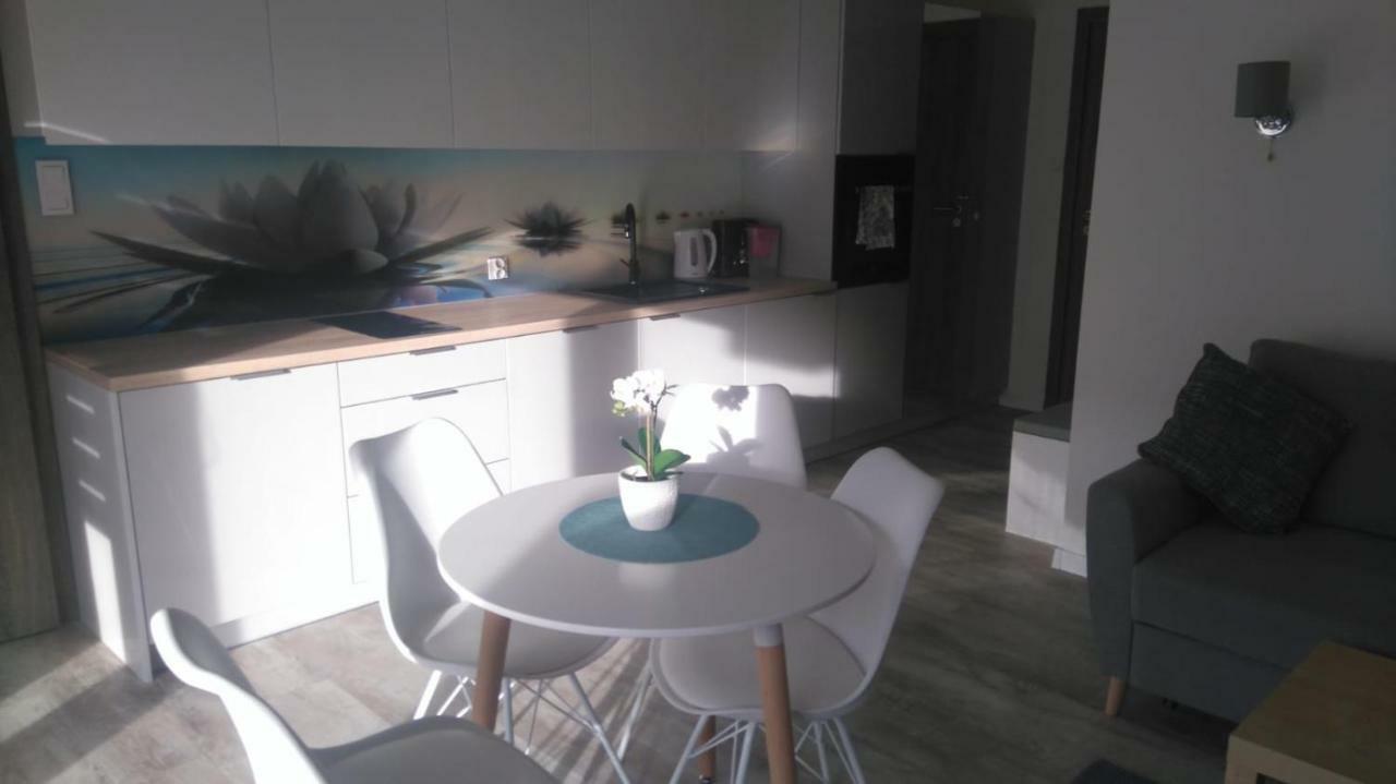 Apartament Nika Pool&Spa 5Morz 시아노제티 외부 사진